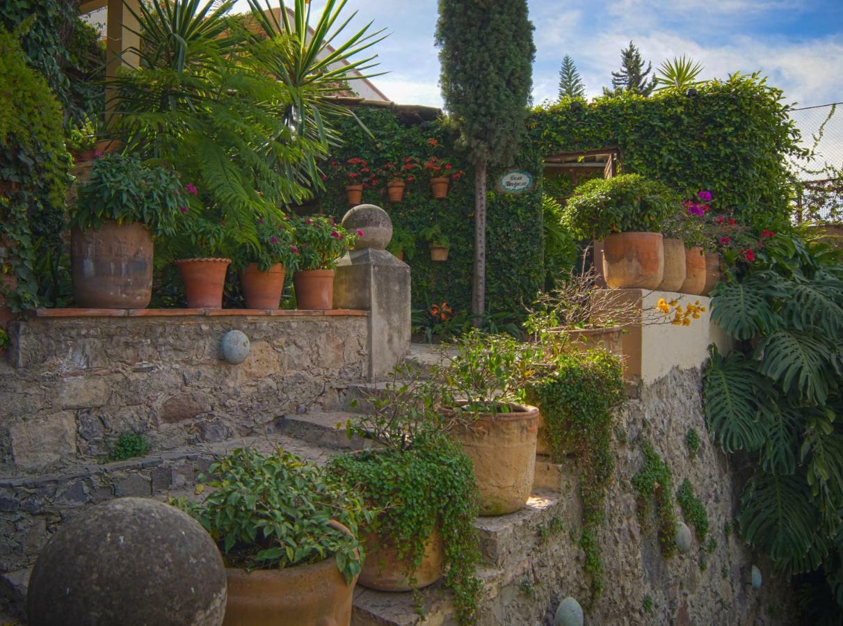 Terrazas Inn